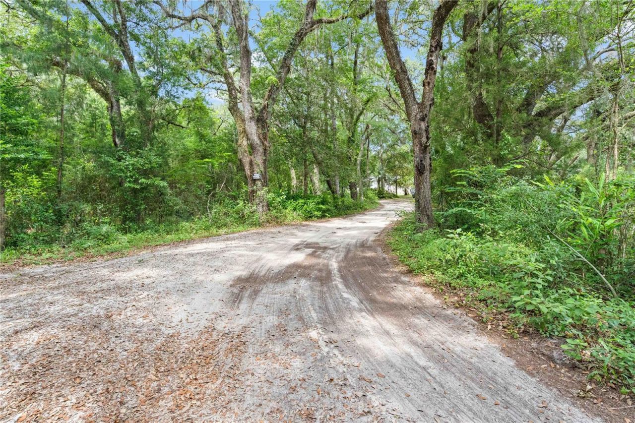 151 NE 164th Avenue, Williston, FL 32696 Photo