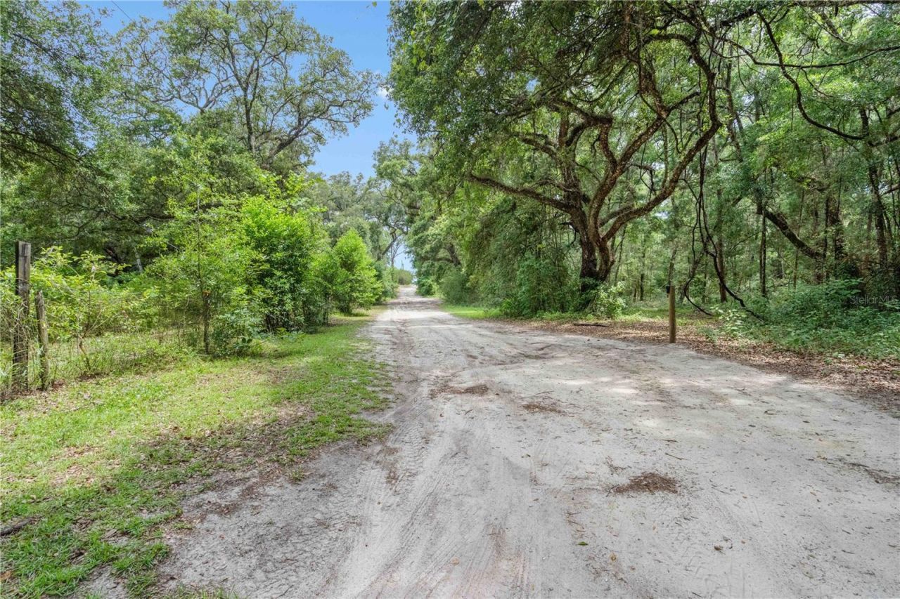 151 NE 164th Avenue, Williston, FL 32696 Photo