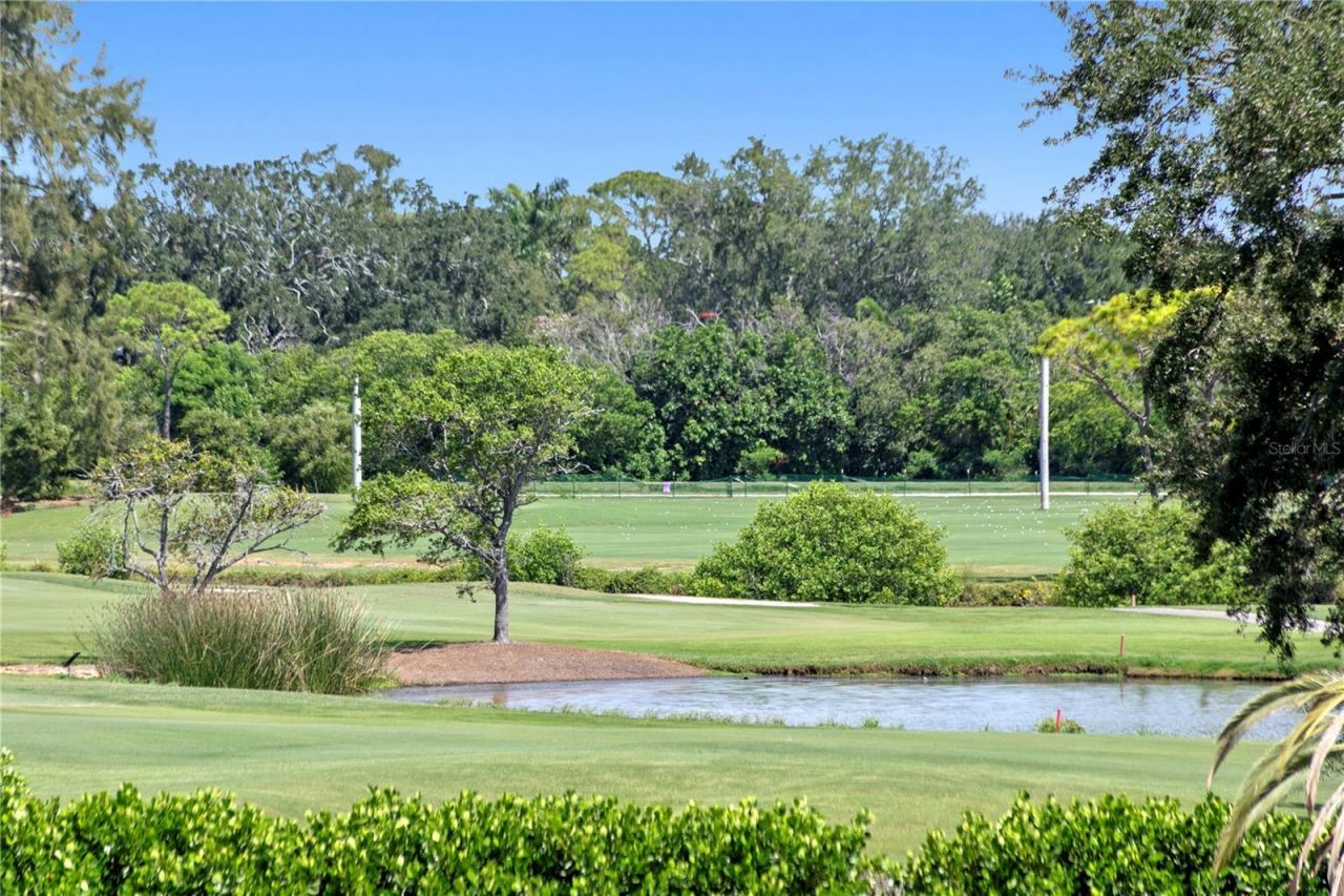 401 Snell Isle Boulevard Ne, Saint Petersburg, FL 33704 Photo