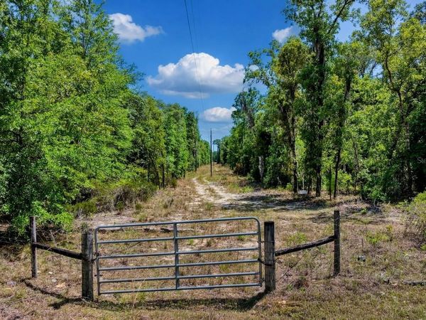 TBD NE 75TH STREET , WILLISTON, FL 32696