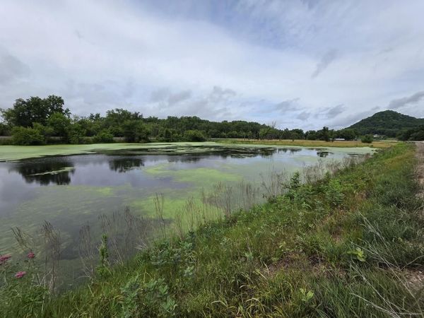 Lot 0 STATE HIGHWAY 35, Ferryville, WI 54628
