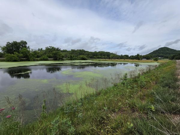 Lot 0 State Highway 35 -, Ferryville, WI 54628
