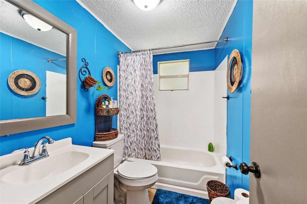 25140 NE 133rd Place , Salt Springs, FL 32134 Photo