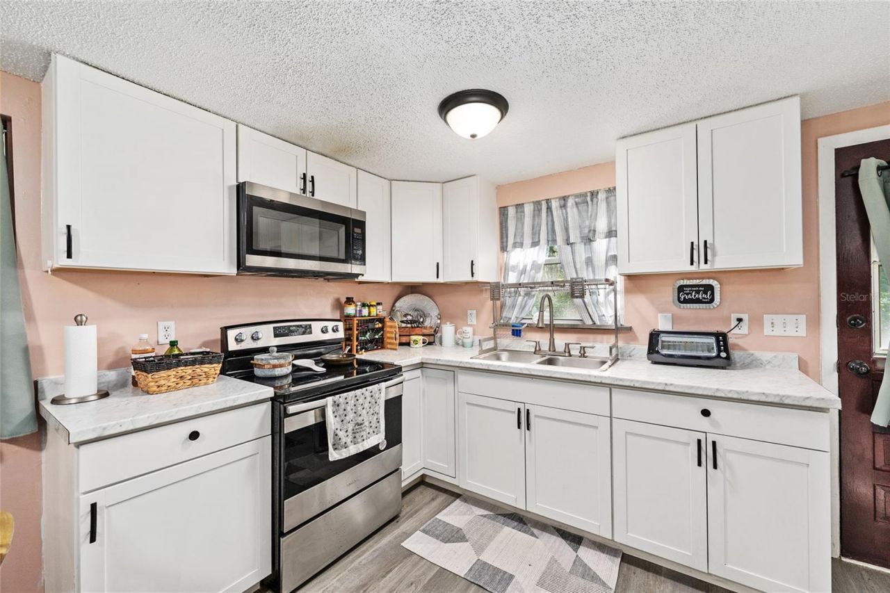 25140 NE 133rd Place , Salt Springs, FL 32134 Photo
