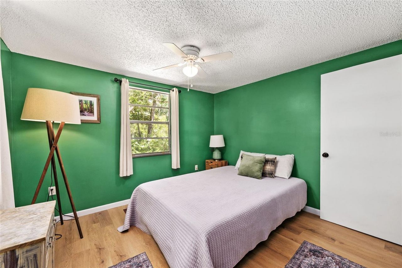 25140 NE 133rd Place , Salt Springs, FL 32134 Photo