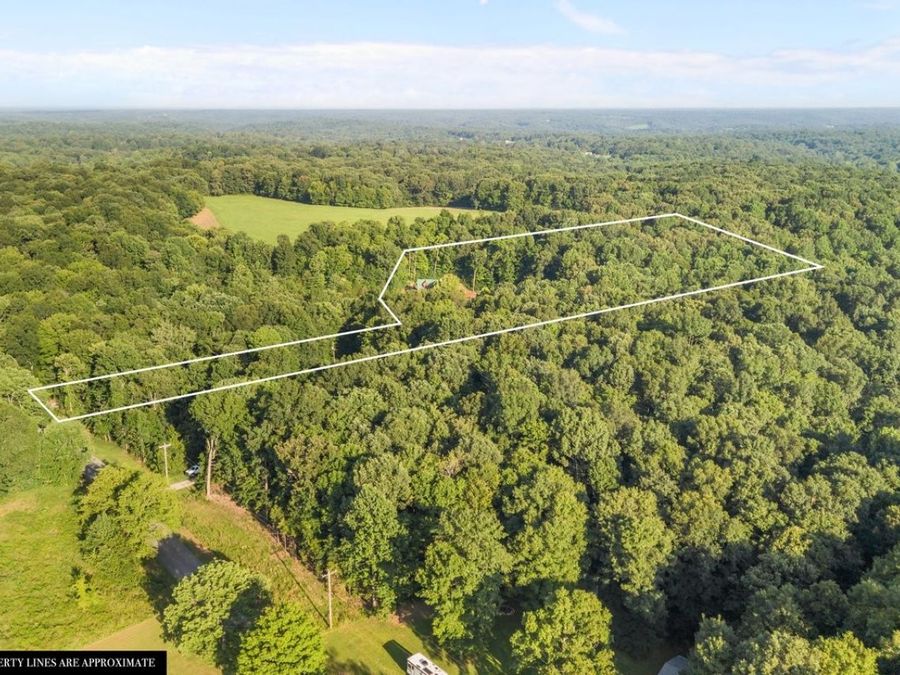 Property Image 78