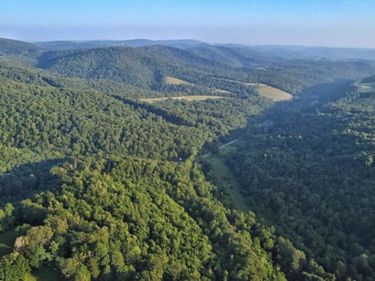 00 Saltlick Road, Terra Alta, WV 26764