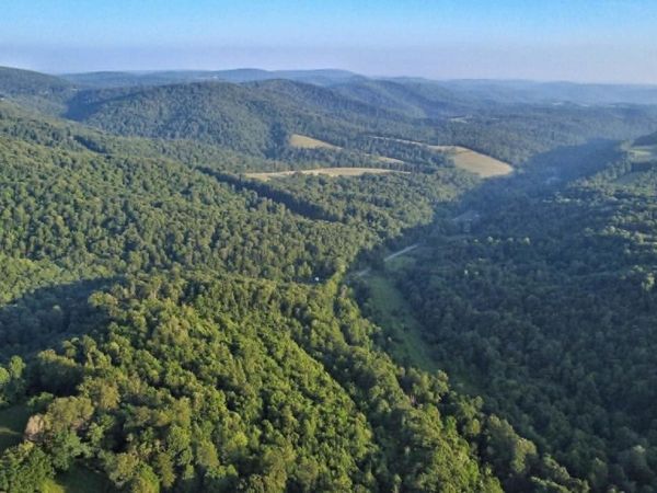00 Saltlick Road, Terra Alta, WV 26764