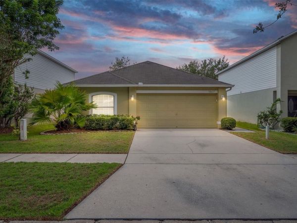 10617 OPUS DRIVE , RIVERVIEW, FL 33579