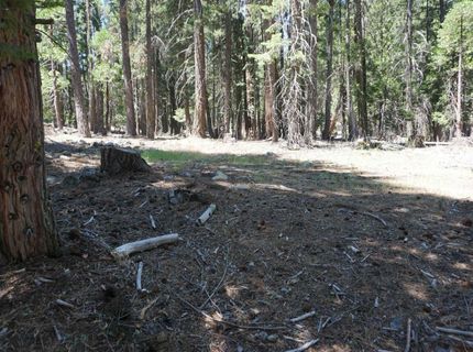 1 Papoose Trail, Graeagle, CA 96103 Photo