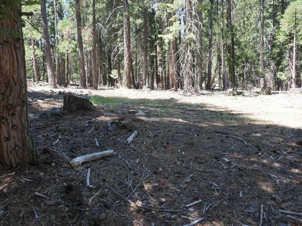 1 Papoose Trail, Graeagle, CA 96103