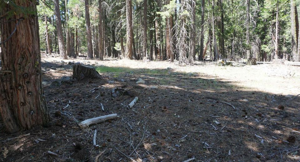 1 Papoose Trail, Graeagle, CA 96103 Photo
