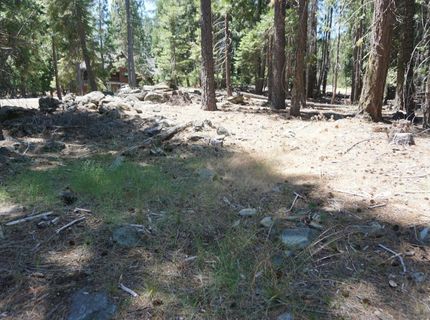 1 Papoose Trail, Graeagle, CA 96103 Photo