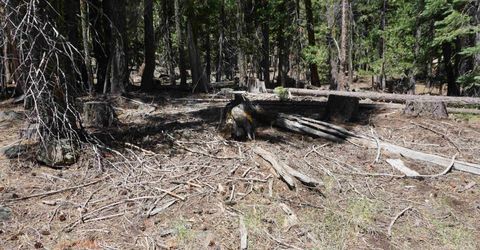 1 Papoose Trail, Graeagle, CA 96103 Photo