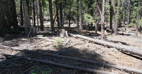 1 Papoose Trail, Graeagle, CA 96103 Photo