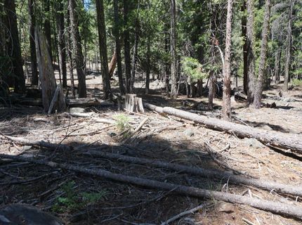 1 Papoose Trail, Graeagle, CA 96103 Photo