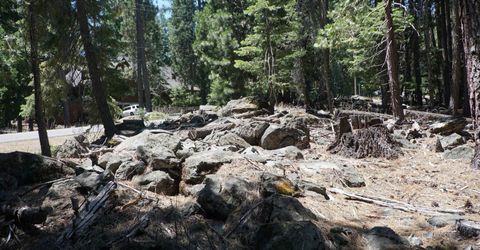 1 Papoose Trail, Graeagle, CA 96103 Photo