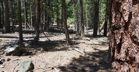 1 Papoose Trail, Graeagle, CA 96103 Photo
