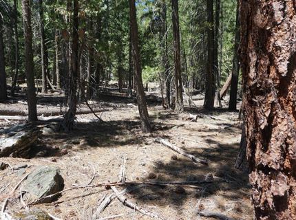 1 Papoose Trail, Graeagle, CA 96103 Photo