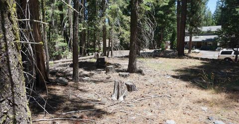 1 Papoose Trail, Graeagle, CA 96103 Photo