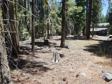 1 Papoose Trail, Graeagle, CA 96103 Photo