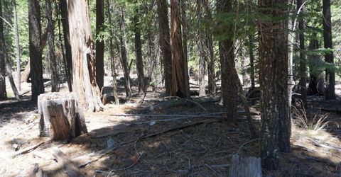 1 Papoose Trail, Graeagle, CA 96103 Photo