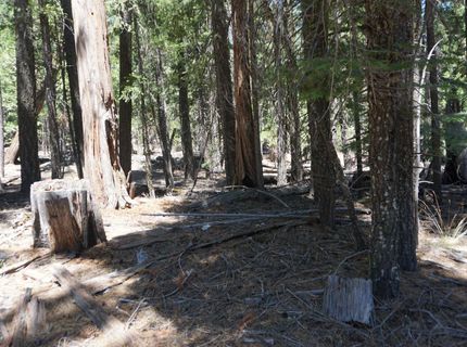 1 Papoose Trail, Graeagle, CA 96103 Photo
