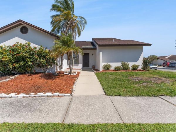 5201 BELLEFIELD DRIVE , TAMPA, FL 33624