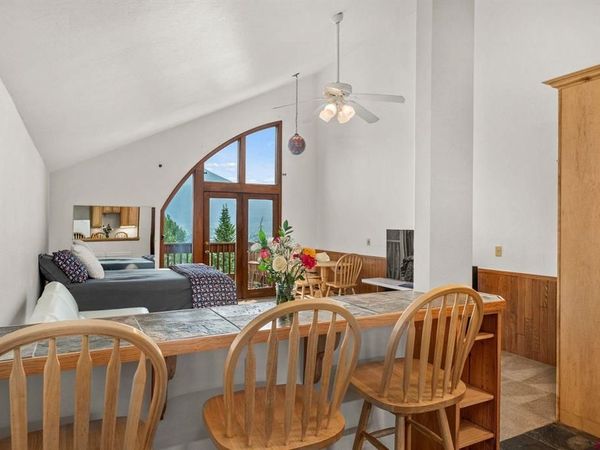 350 Country Club Drive, Crested Butte, CO 81224
