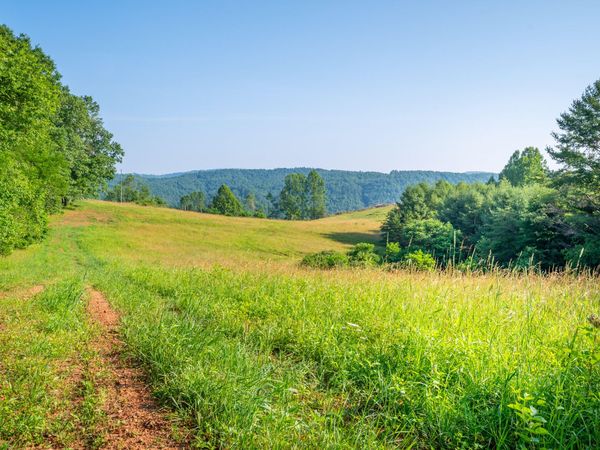 000 Fairhaven DR , Dugspur, VA 24325