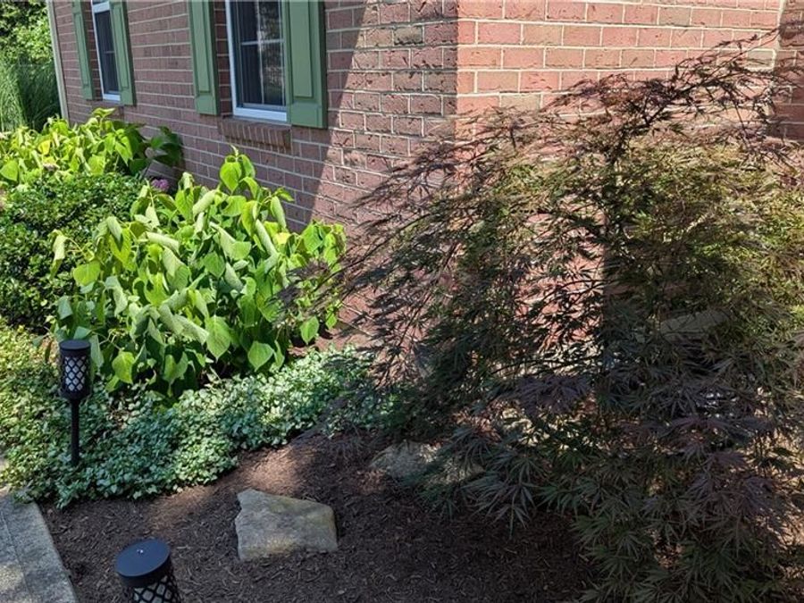 Property Image 95