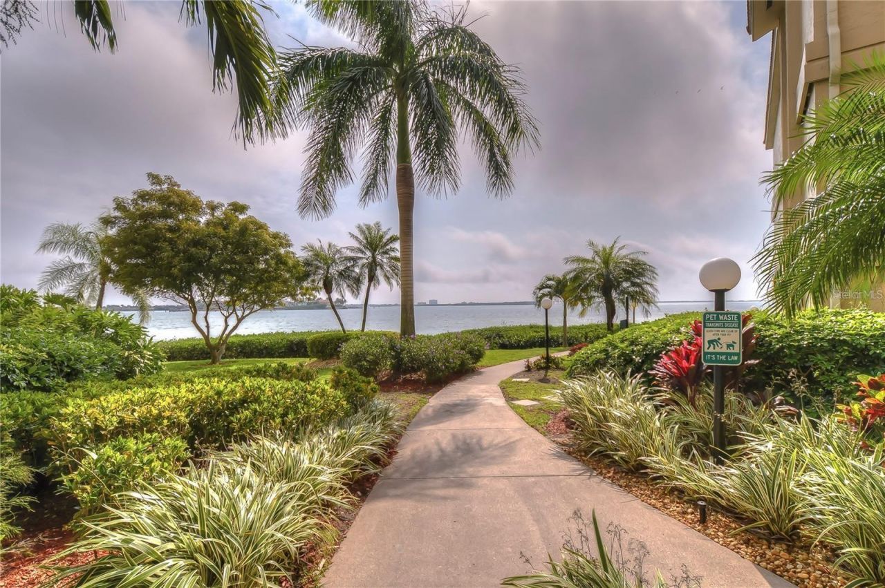 6322 Palma Del Mar Blvd S , Unit 103, Saint Petersburg, FL 33715 Photo
