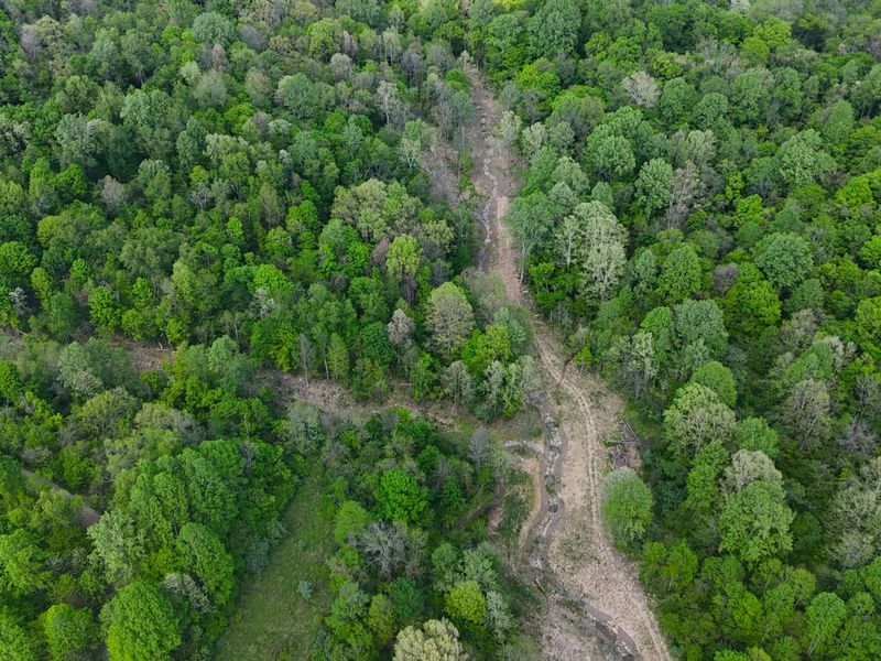 9477 Beech Grove Road, Burlington, KY 41005 Photo 26