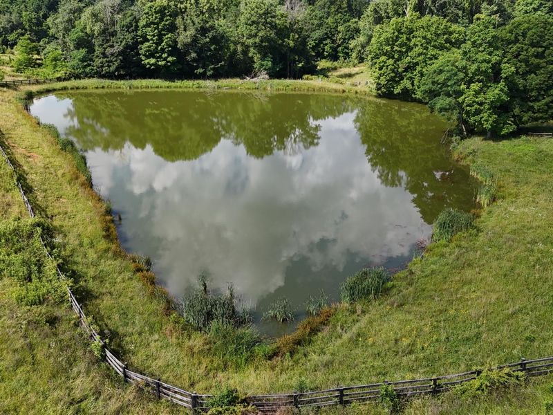9477 Beech Grove Road, Burlington, KY 41005 Photo 31