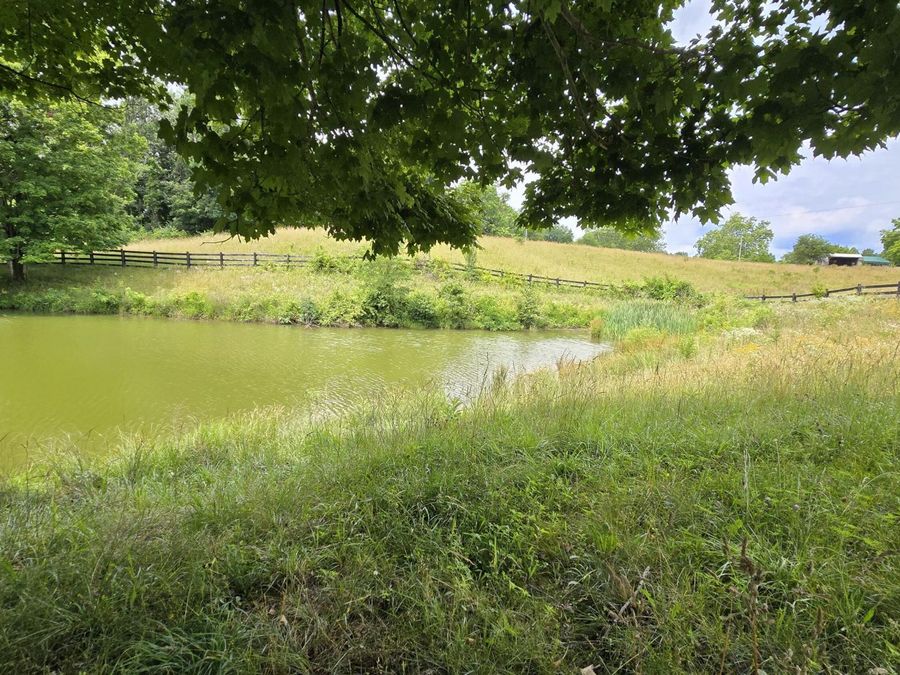 Property Image 46