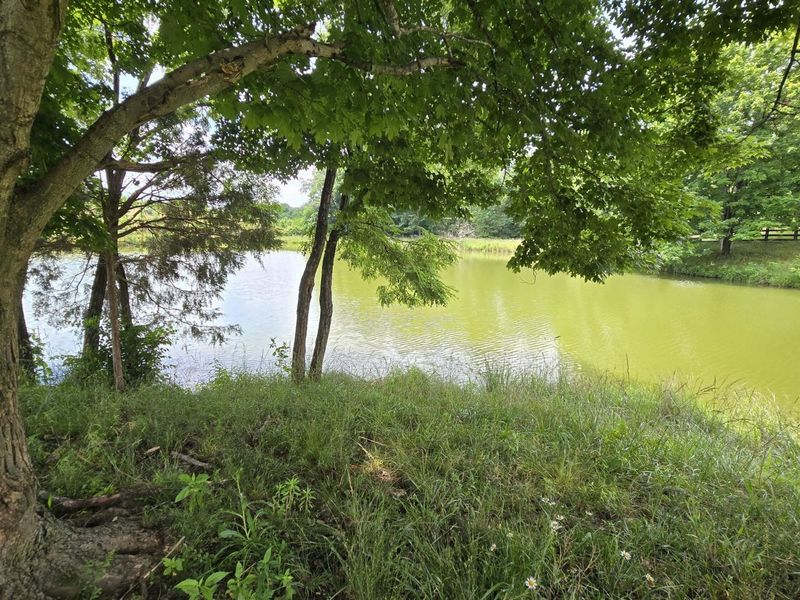9477 Beech Grove Road, Burlington, KY 41005 Photo 46