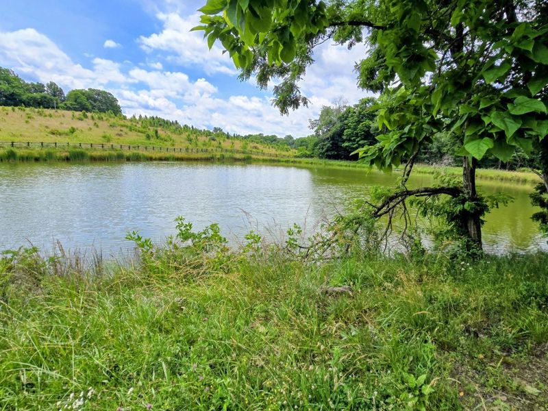 9477 Beech Grove Road, Burlington, KY 41005 Photo 47