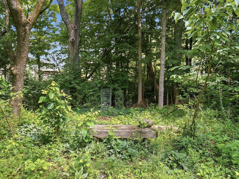 525 S Hempstead Road, Westerville, OH 43081 Photo 129