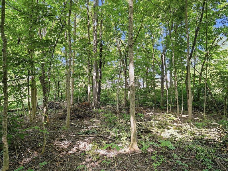 525 S Hempstead Road, Westerville, OH 43081 Photo 133