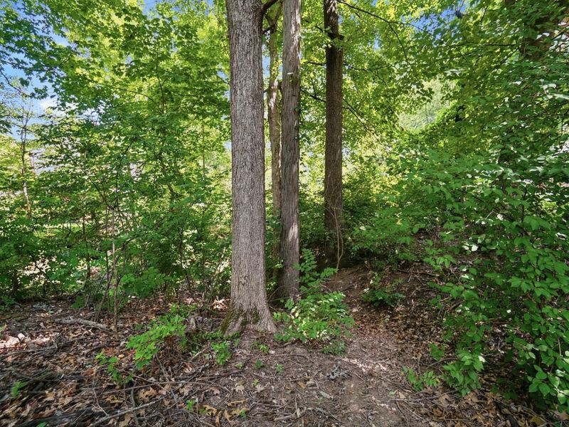 525 S Hempstead Road, Westerville, OH 43081 Photo 162
