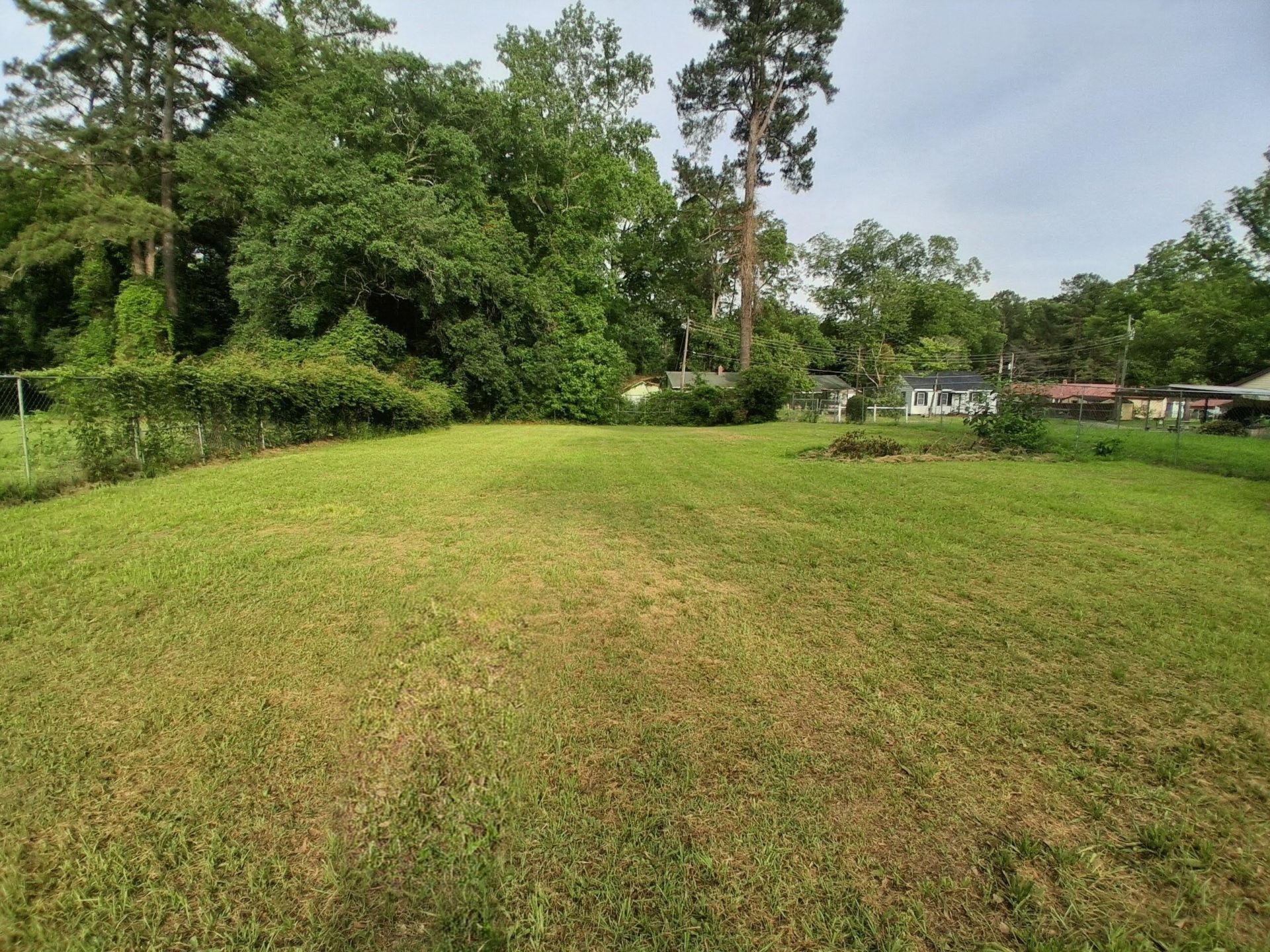 1616 Belleville Road Photo 21