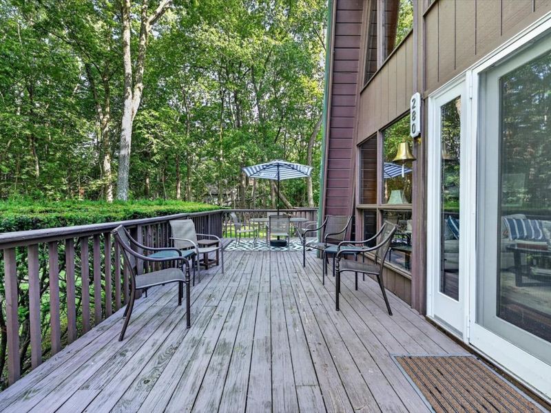 280 Meechen, Put in Bay, OH 43456 Photo 45