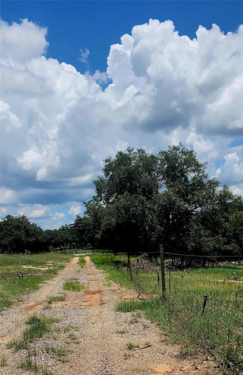 562 Libby Road, Babson Park, FL 33827 Photo