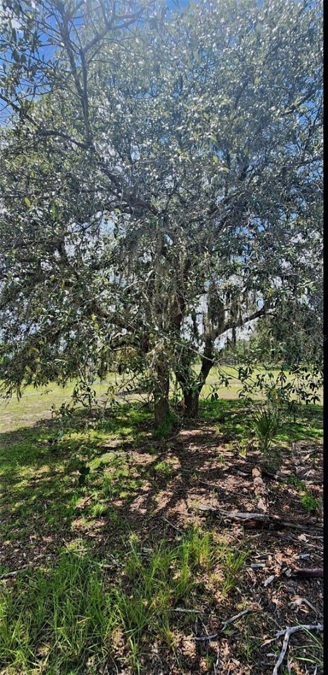 562 Libby Road, Babson Park, FL 33827 Photo