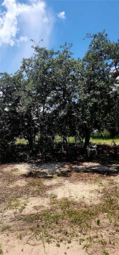 562 Libby Road, Babson Park, FL 33827 Photo