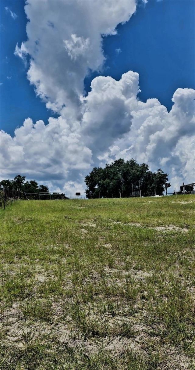 562 Libby Road, Babson Park, FL 33827 Photo
