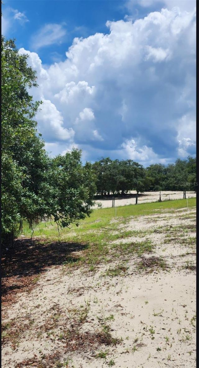 562 Libby Road, Babson Park, FL 33827 Photo