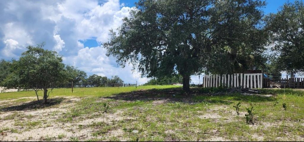 562 Libby Road, Babson Park, FL 33827 Photo
