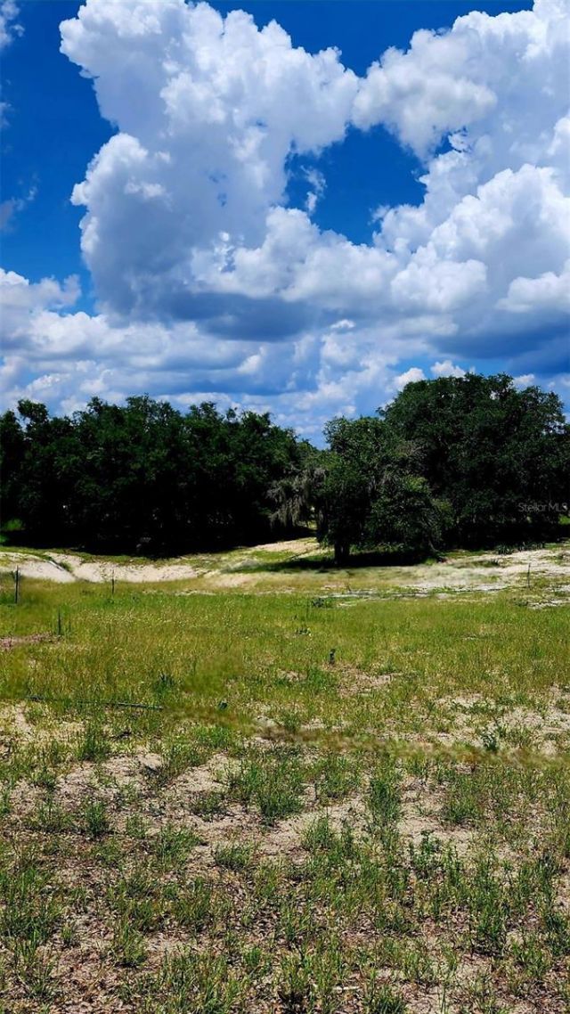 562 Libby Road, Babson Park, FL 33827 Photo