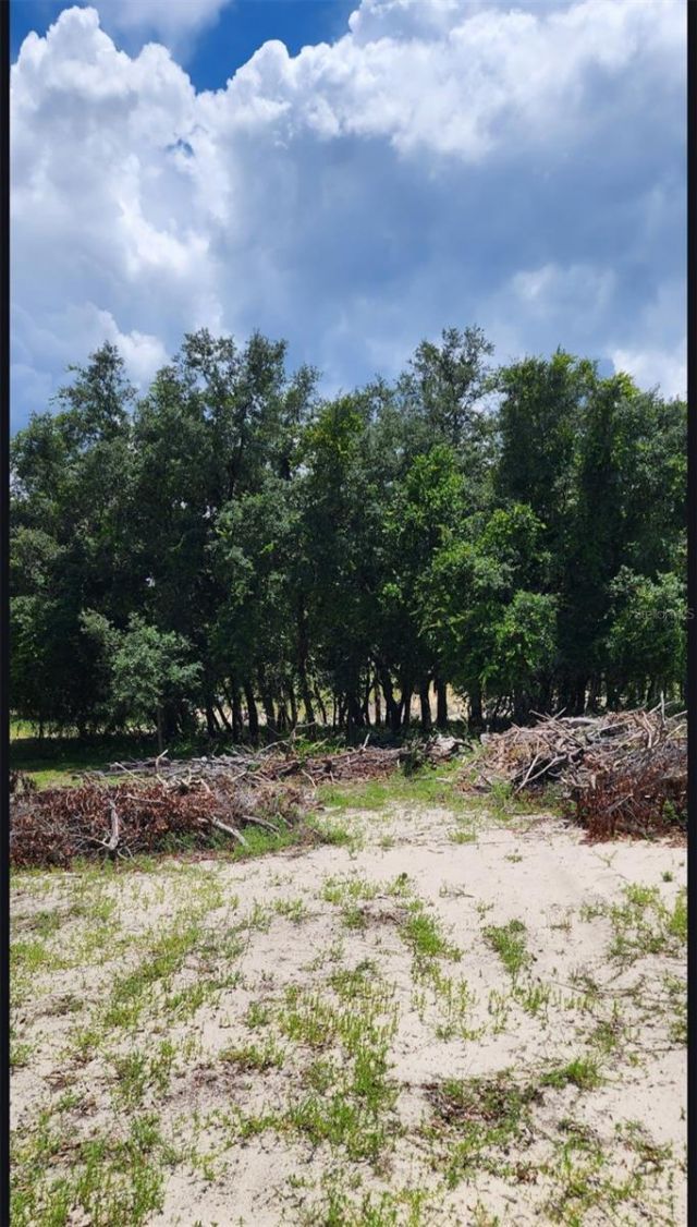 562 Libby Road, Babson Park, FL 33827 Photo
